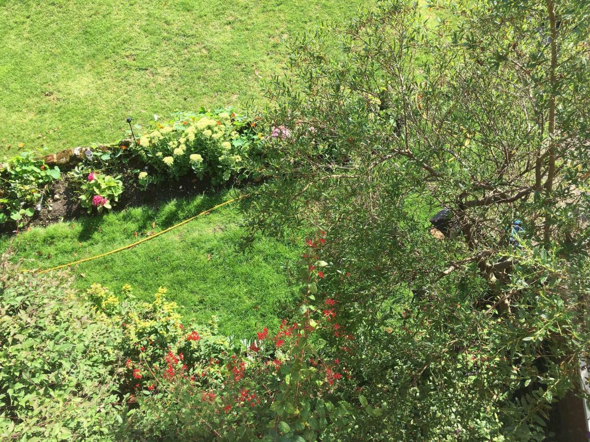 فندق Westleigh Ashtead المظهر الخارجي الصورة